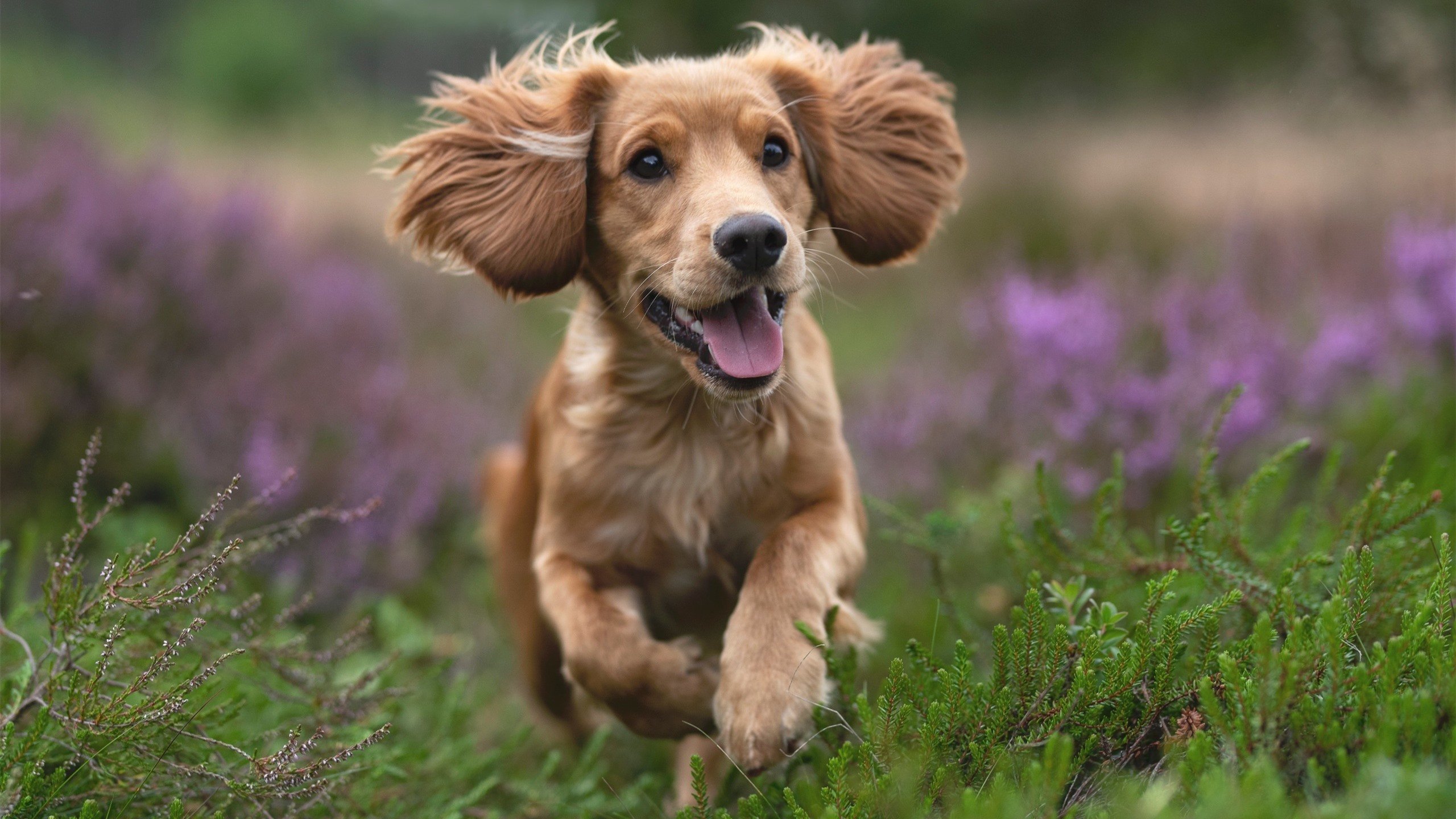 爱游戏app下载-俱乐部运营未有效连接本地教育资源，俱乐部运营团队的作用  第1张