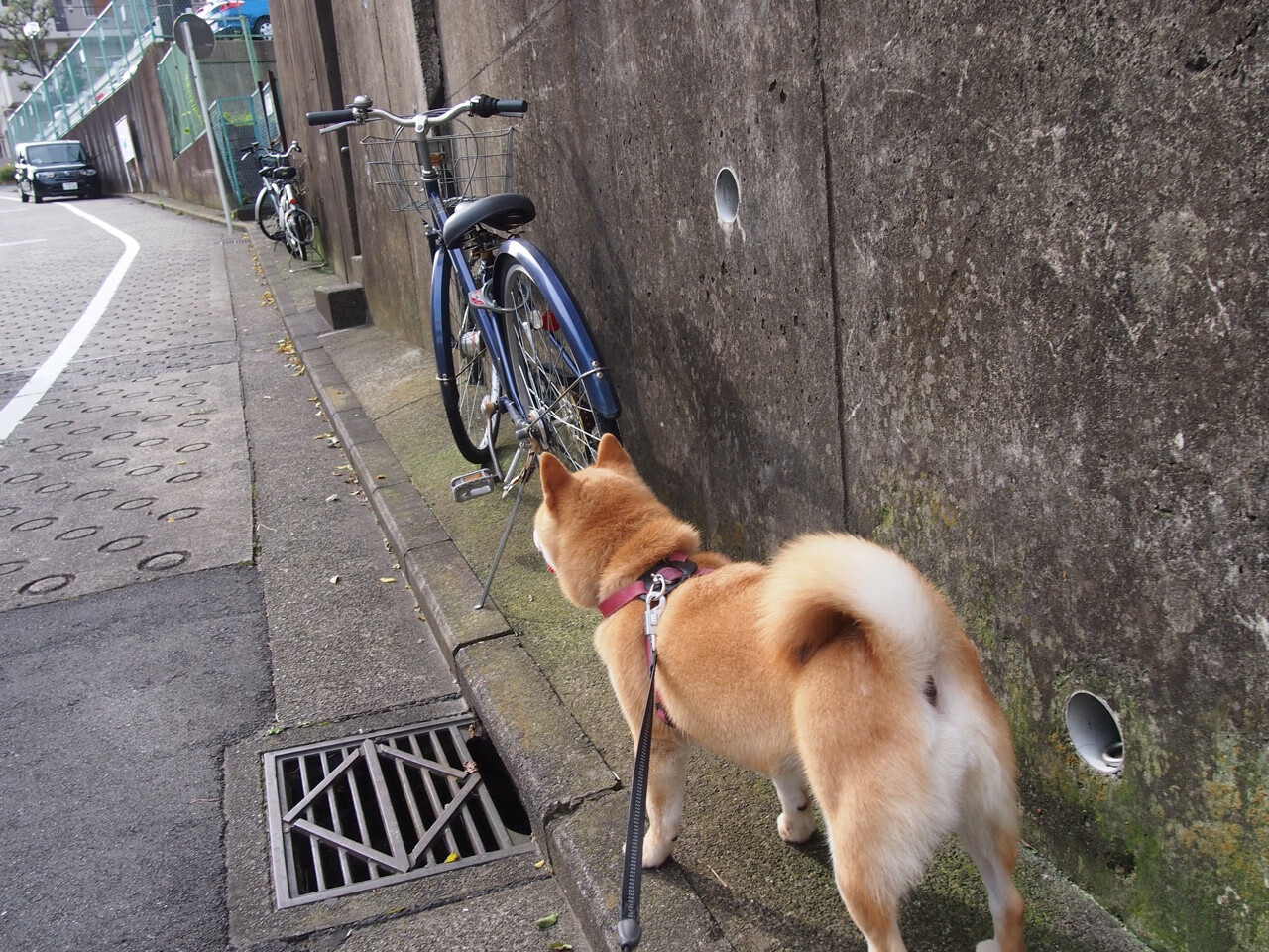 爱游戏体育网页版-决赛红牌事件引发广泛争议，红牌对比赛的影响  第1张